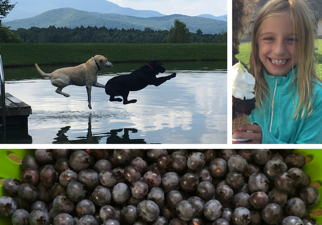 Design Educational Pursuit Header Image 1056x738 (1)