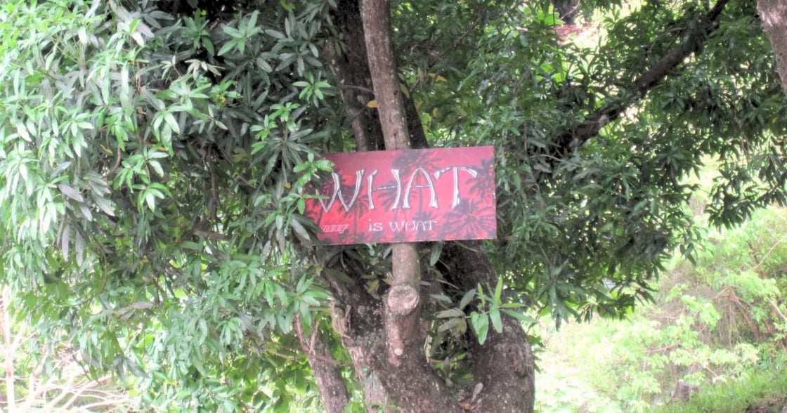 Why Independent Schools Need Different Market Research (And Why Sample Size Isnt Everything)